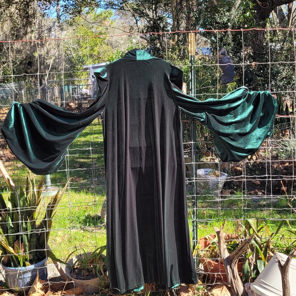Elegant Black and Green Velvet Dress